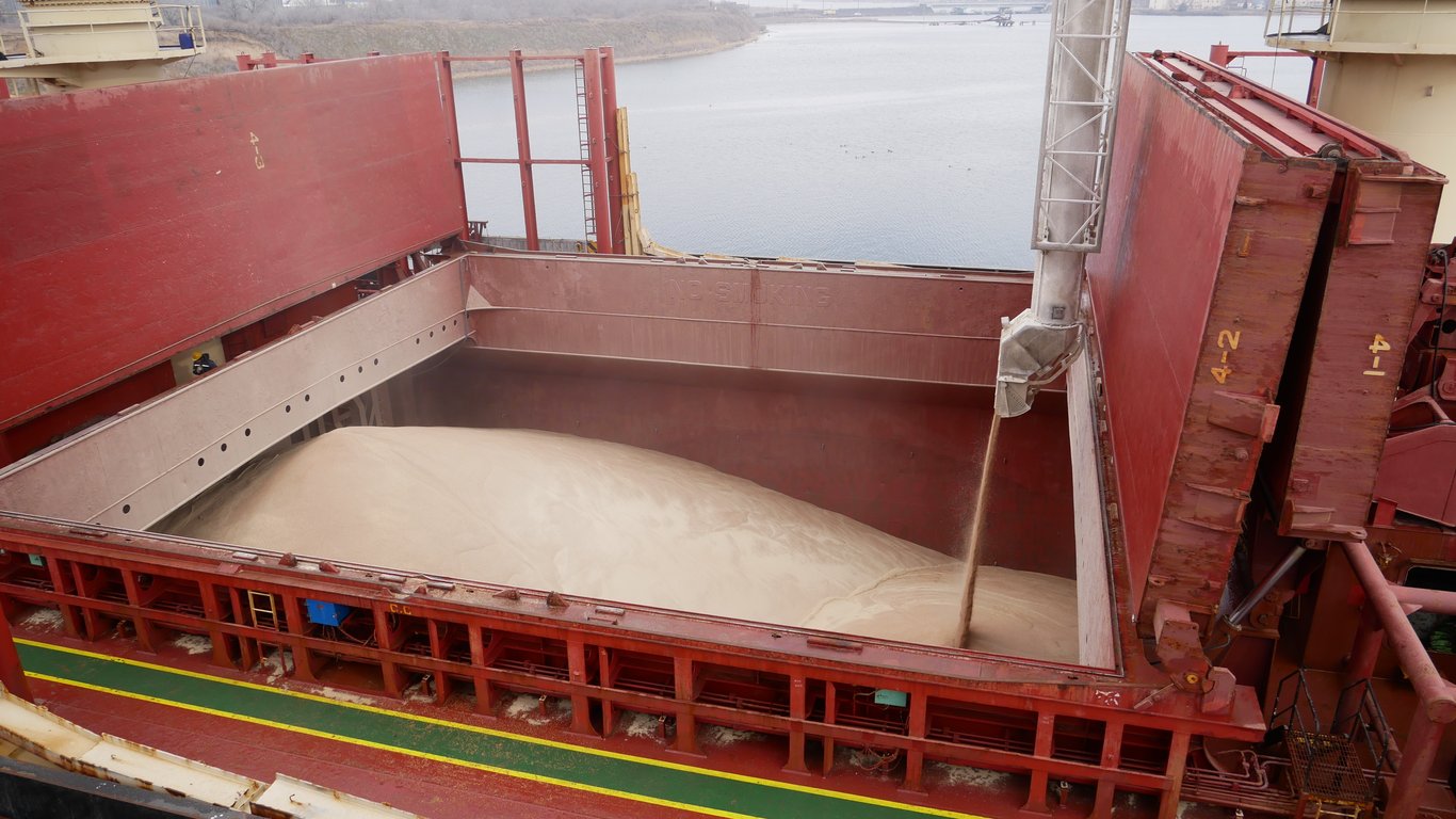 Grain Prices in July - Which Crop Can Bring Profit
