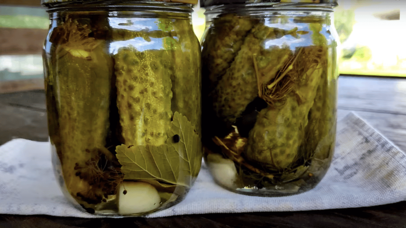 Маринованные огурцы на зиму без заморочек — рецепт консервации