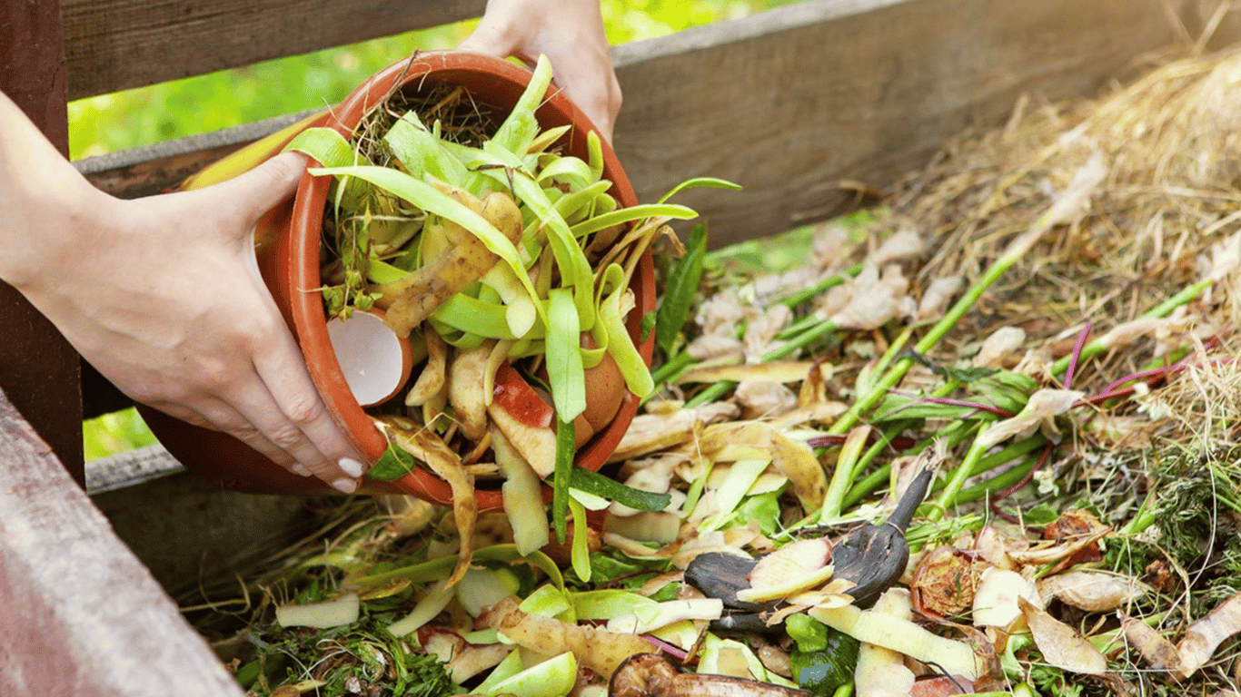 What to sprinkle on compost to accelerate its maturation