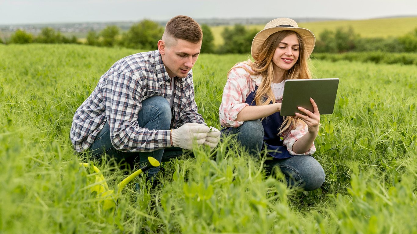 Продажа земельного участка — какие расходы необходимо учесть