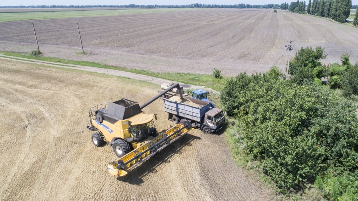 Barley prices are rising - why is the crop getting more expensive
